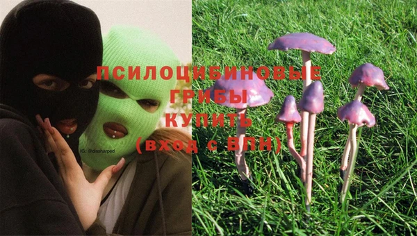кокаин колумбия Заводоуковск