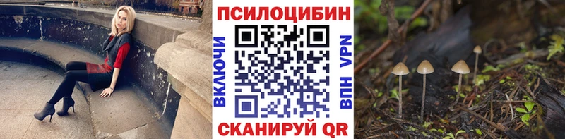 Галлюциногенные грибы Psilocybine cubensis  где найти наркотики  Калач 